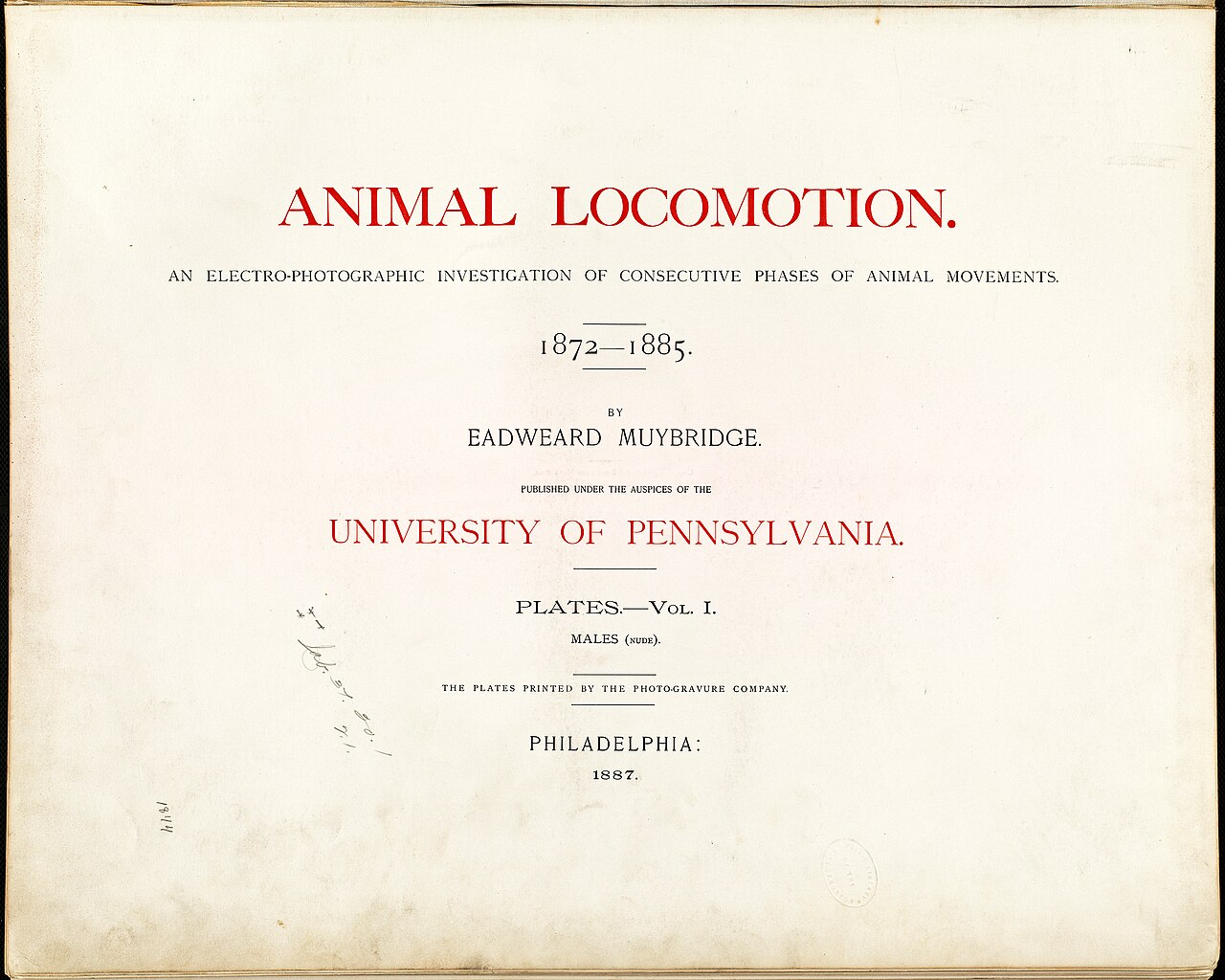 Animal locomotion