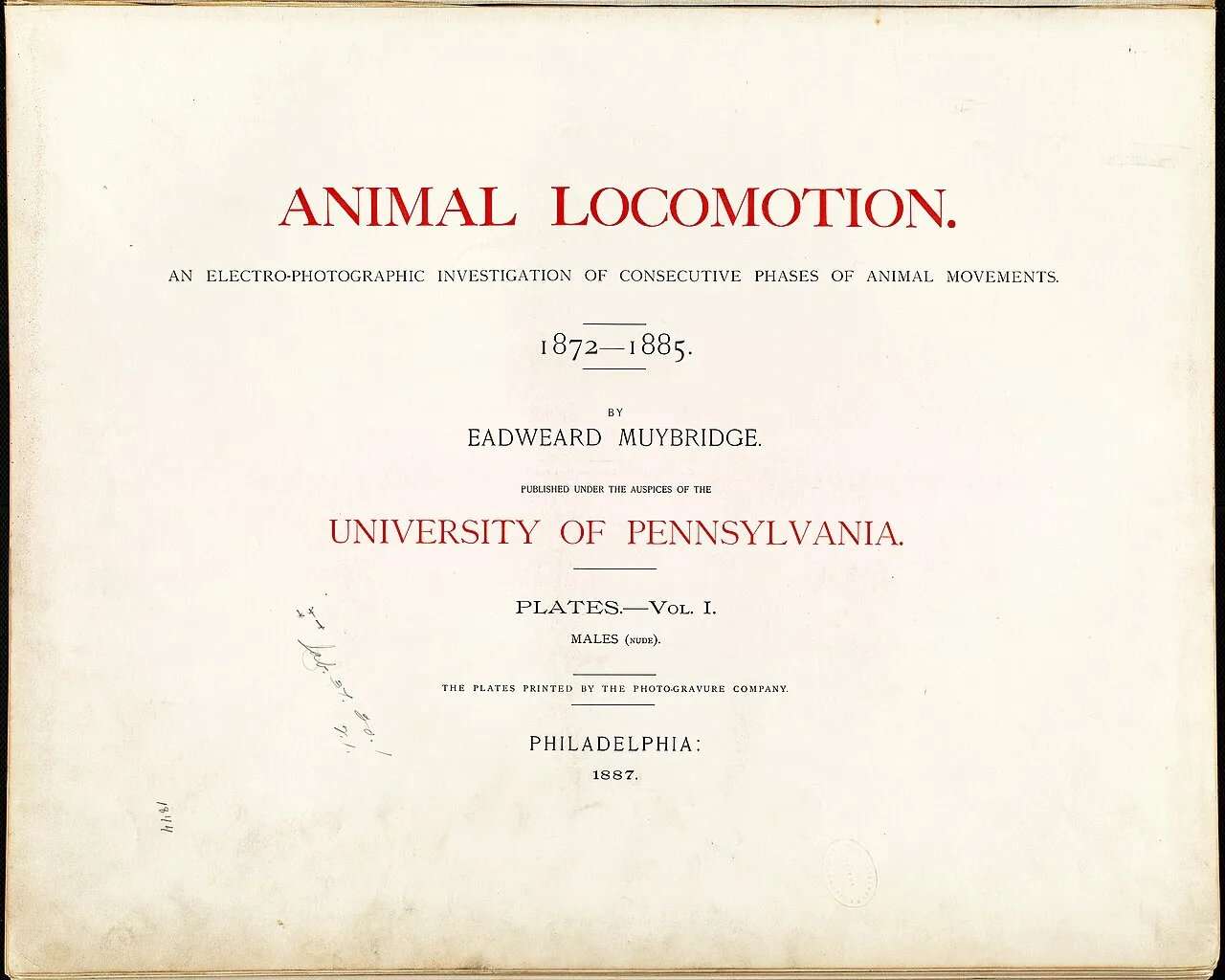 Animal locomotion