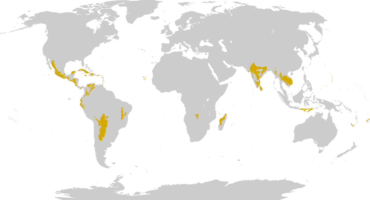 Biome