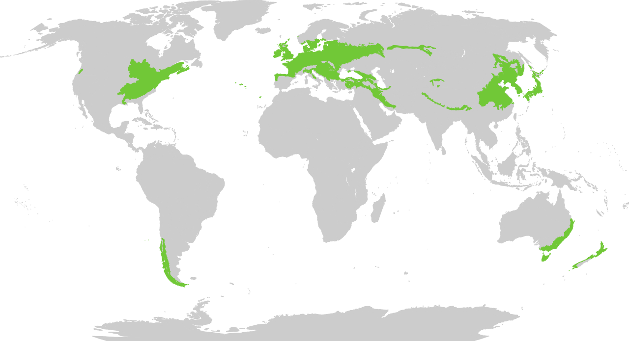 Biome