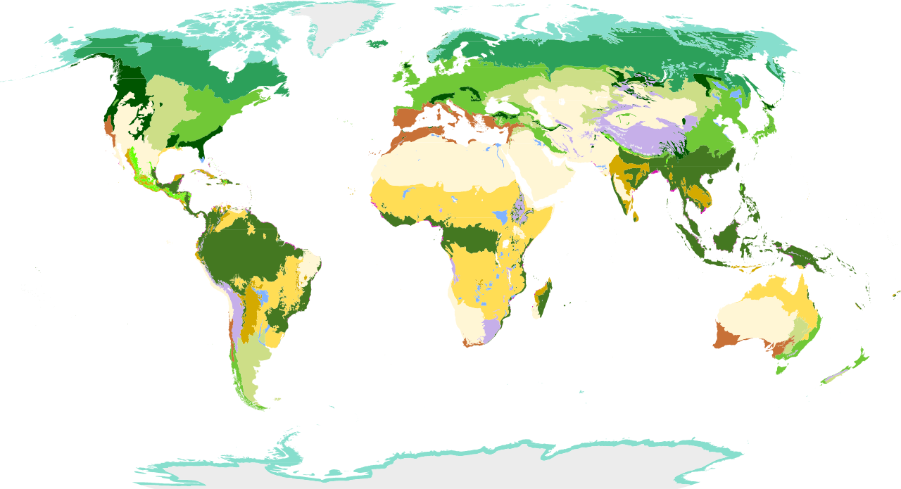 Biome