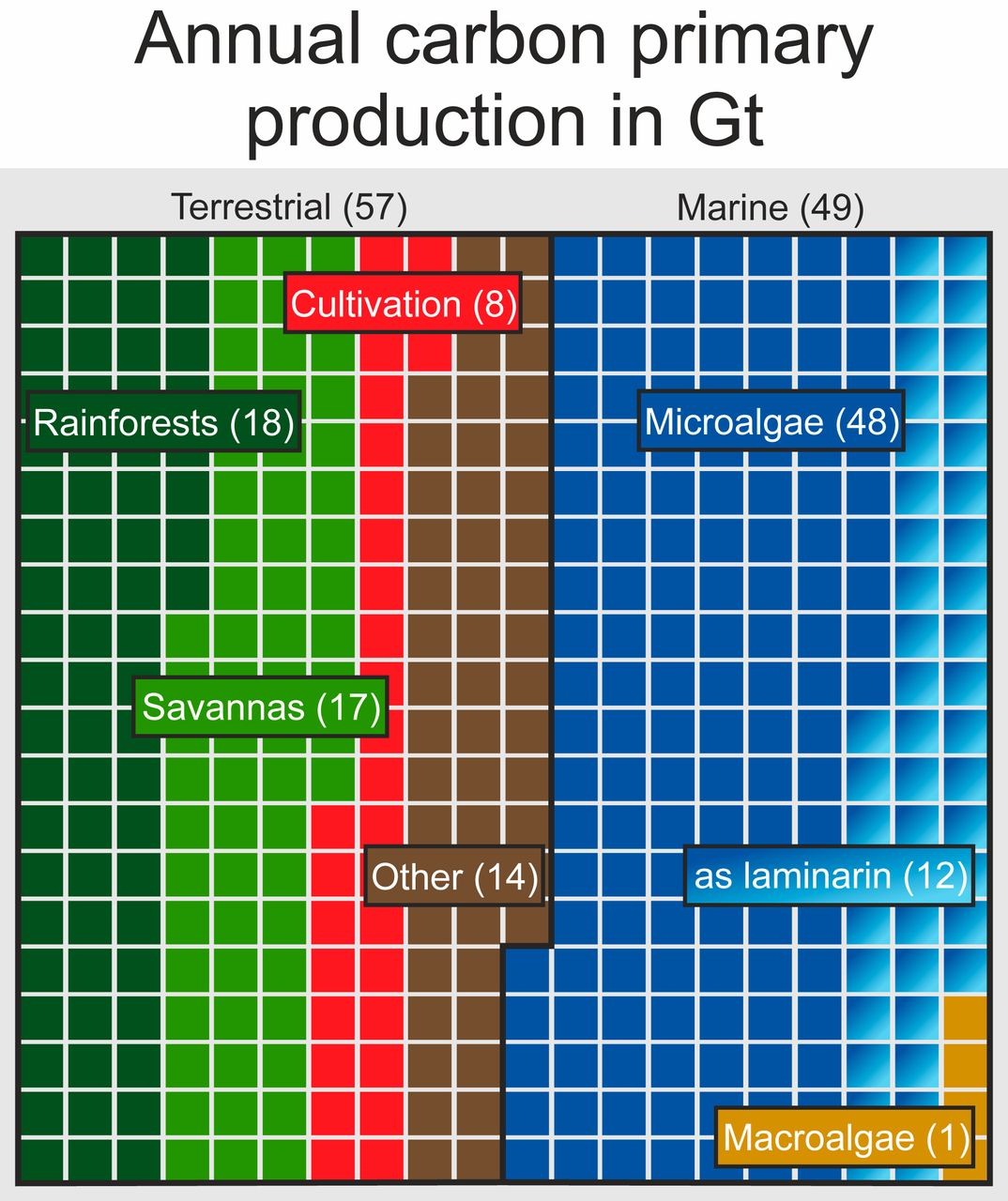 Primary production